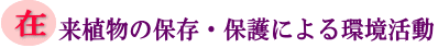 在来植物の保存・保護による環境活動の画像