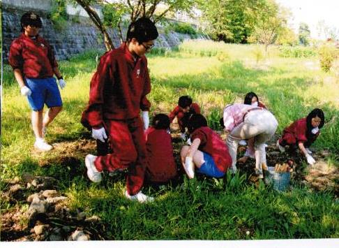 活動回数の画像