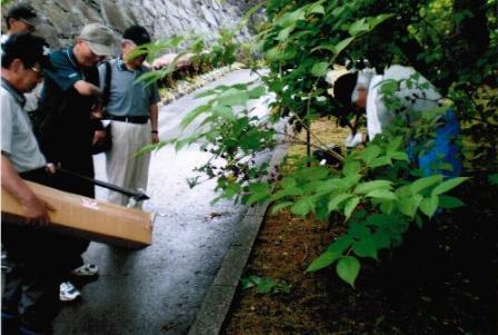 今後の予定、課題の画像