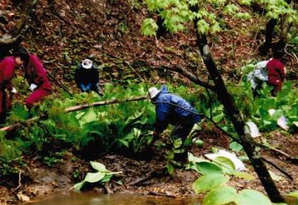 団体を結成したきっかけは？の画像