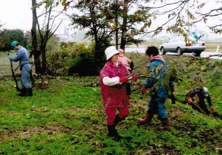 助成事業以外の活動の画像