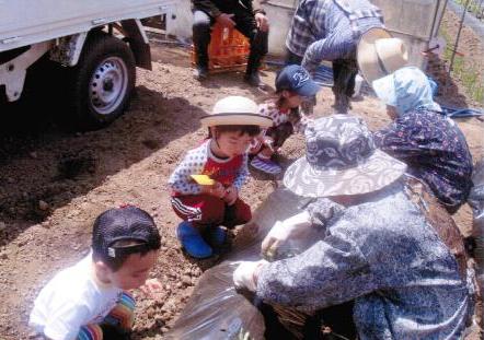 今後の予定、課題の画像