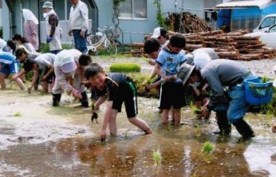 かだって会の画像5