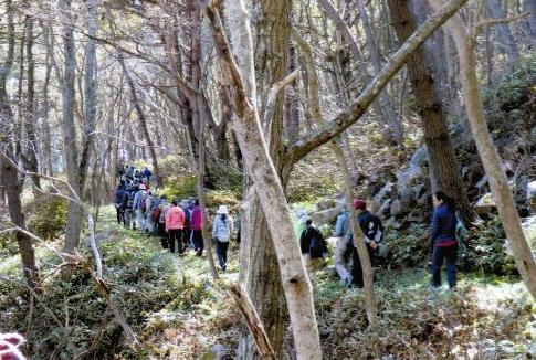 助成事業以外の活動の画像