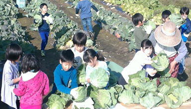 結成までの経緯の画像2