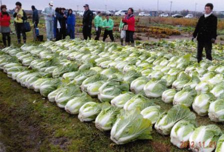 今後の予定などの画像2