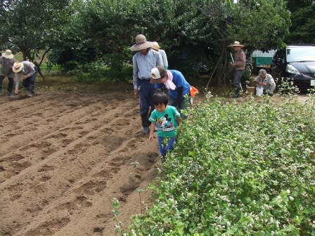 助成事業以外の活動の画像