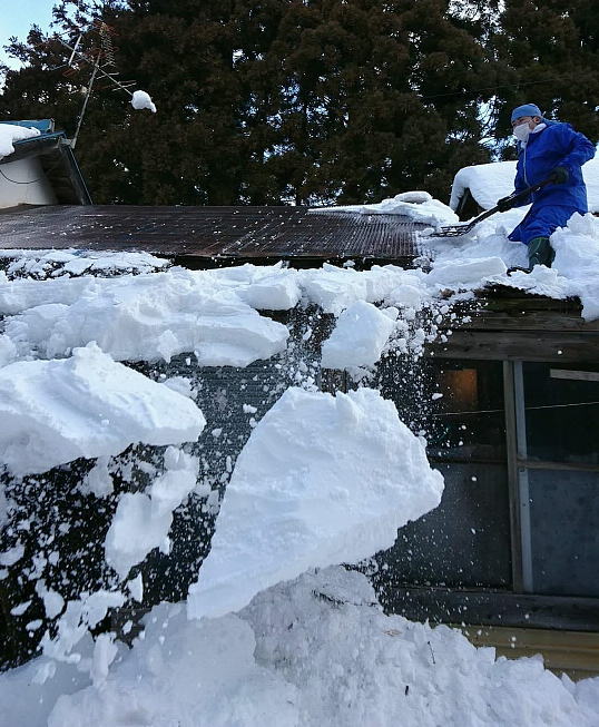 活動回数の画像2