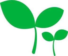 活動の中で意識していることの画像