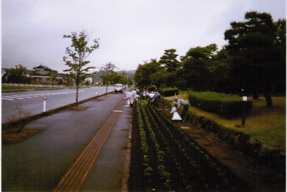 団体のPRの画像1