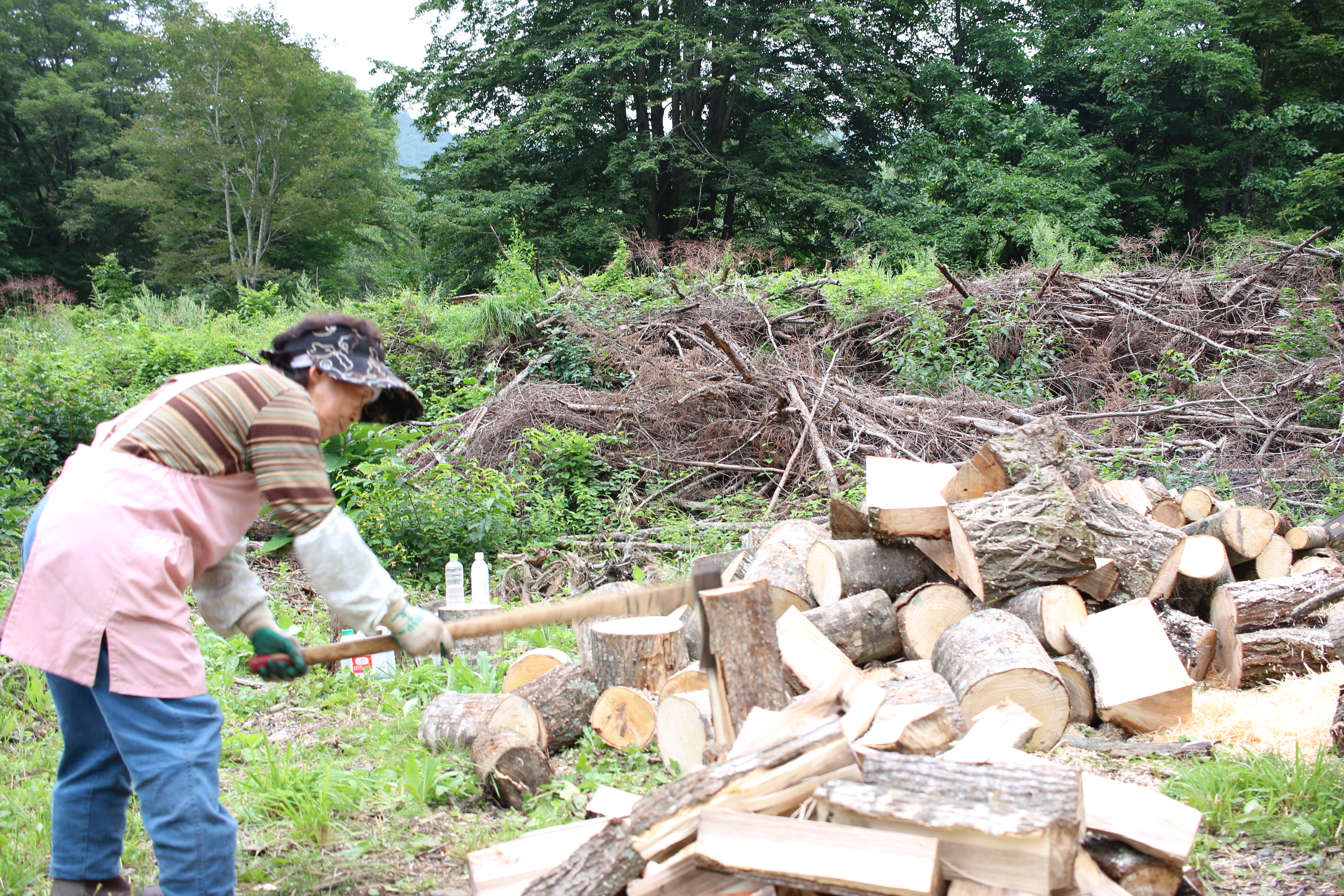 結成までの経緯の画像1