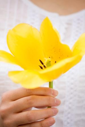 団体を結成したきっかけは？  の画像