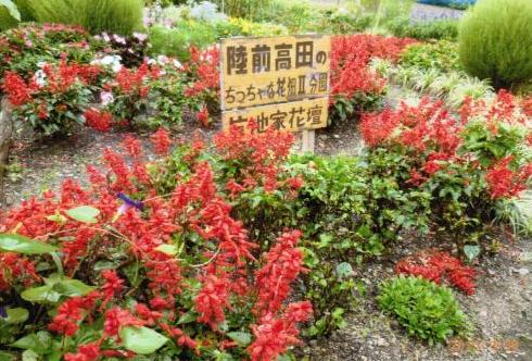 結成までの経緯の画像2