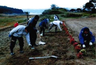 助成事業以外の活動の画像