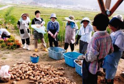 活動回数の画像1