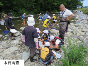 水質調査