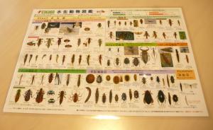 「岩手の水生動物図鑑」シート
