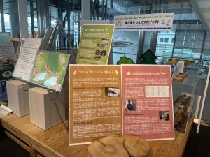 環境学習交流センター展示