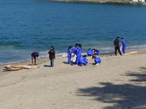 良い天気の中清掃作業をする釜石東中学校の生徒たち