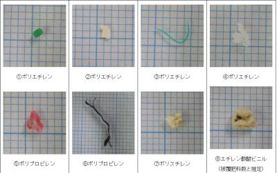 マイクロプラスチック